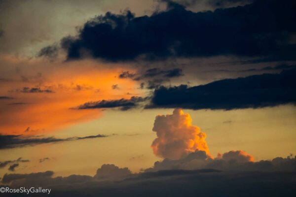 Ethereal 02