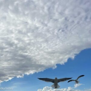 Celestial Drama 01