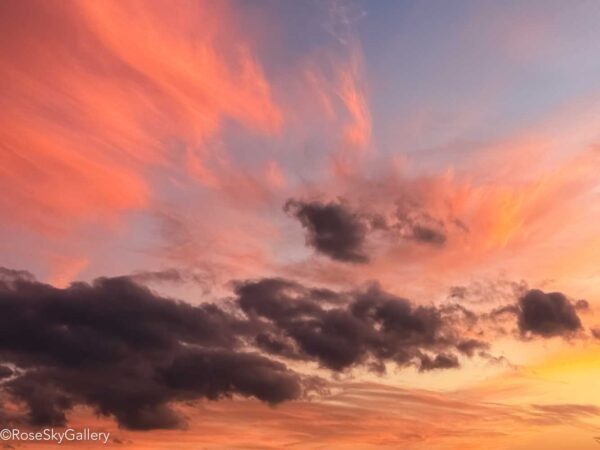 Celestial Drama 02